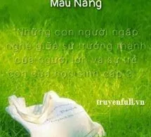 (12 Chòm Sao) Màu Nắng