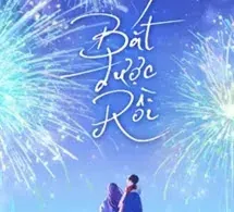 Bắt Được Rồi - Hồ Linh