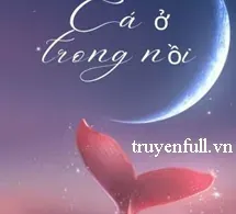 Cá Ở Trong Nồi