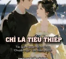 Chỉ Là Tiểu Thiếp - Nguyệt Minh Châu
