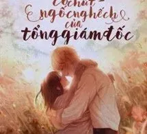 Cô Vợ Có Chút Ngốc Nghếch Của Tổng Giám Đốc