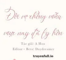 Đôi Vợ Chồng Mẫu Mực Nay Đã Ly Hôn