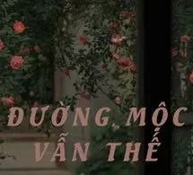 Đường Mộc Vẫn Thế