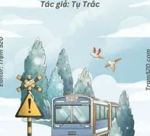 Giữa Biển Người - Tụ Trặc