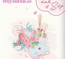 Gửi Nhầm Ảnh Sếp - Thiên Phàm