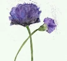 Hóa Ra Người Ở Nơi Này