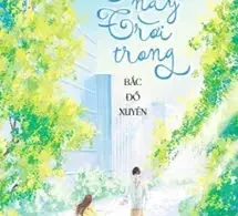 Hôm Nay Trời Trong