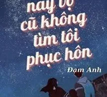 Hôm Nay Vợ Trước Cũng Không Tìm Ta Phục Hôn