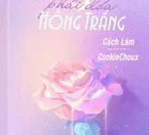 Không Phải Đóa Hồng Trắng