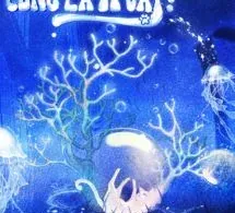 Mèo A Thì Cũng Là A Vậy!