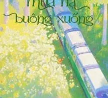 Mùa Hạ Buông Xuống - Kim Du