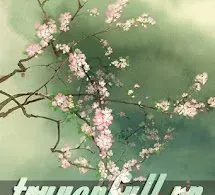 Sắc Xuân Trên Đỉnh Non Ngàn