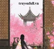 Tiểu Thiếp Vương Phủ